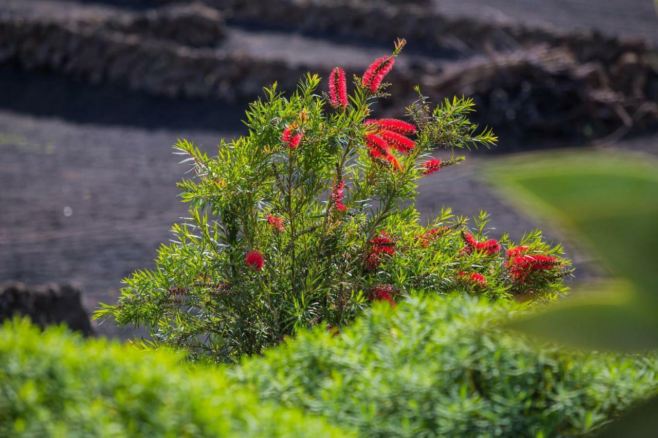 Casa El Quinto Villa La Vegueta ภายนอก รูปภาพ